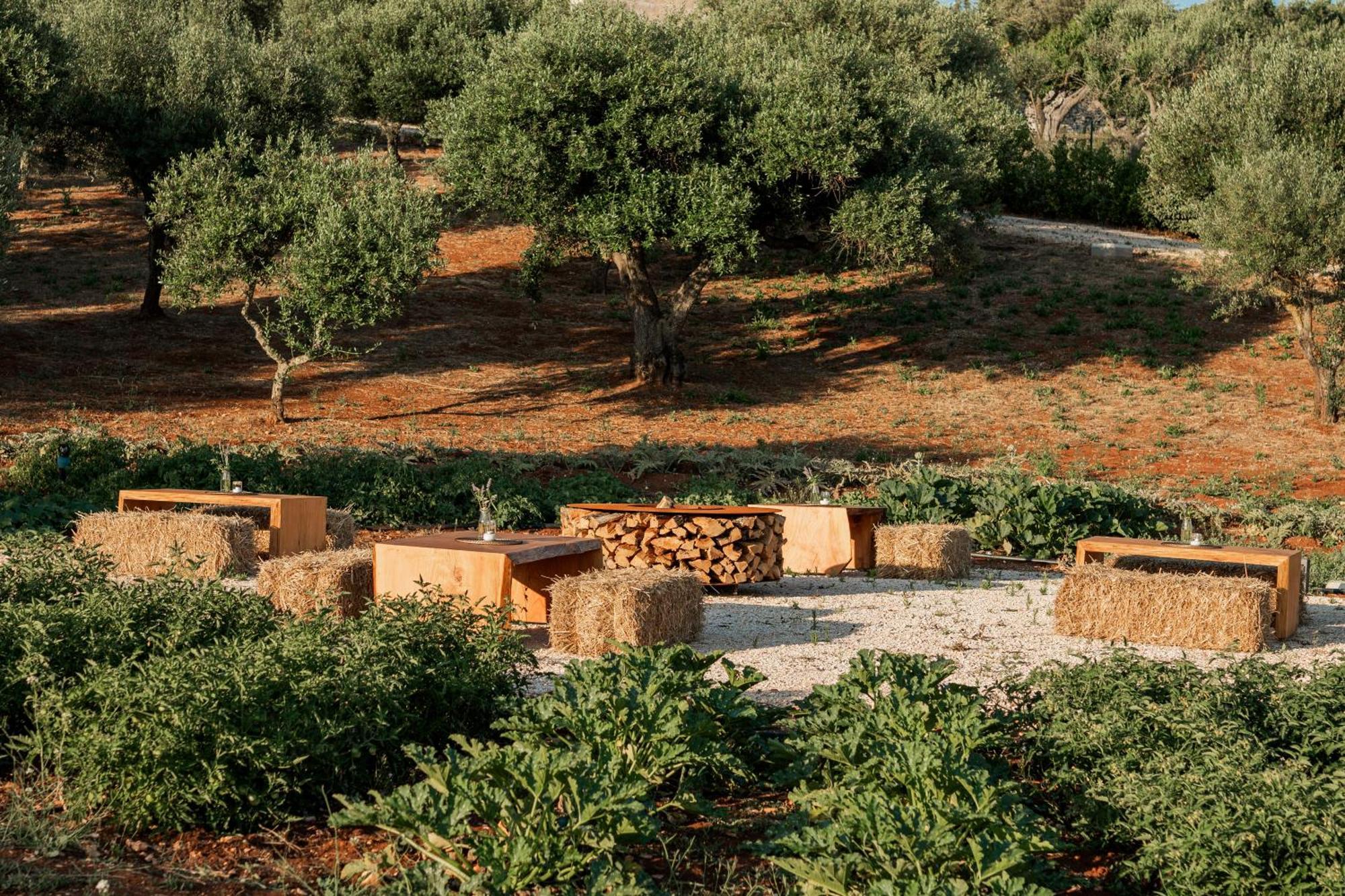 Essenza Relais Contemporaneo Bed and Breakfast Cisternino Εξωτερικό φωτογραφία