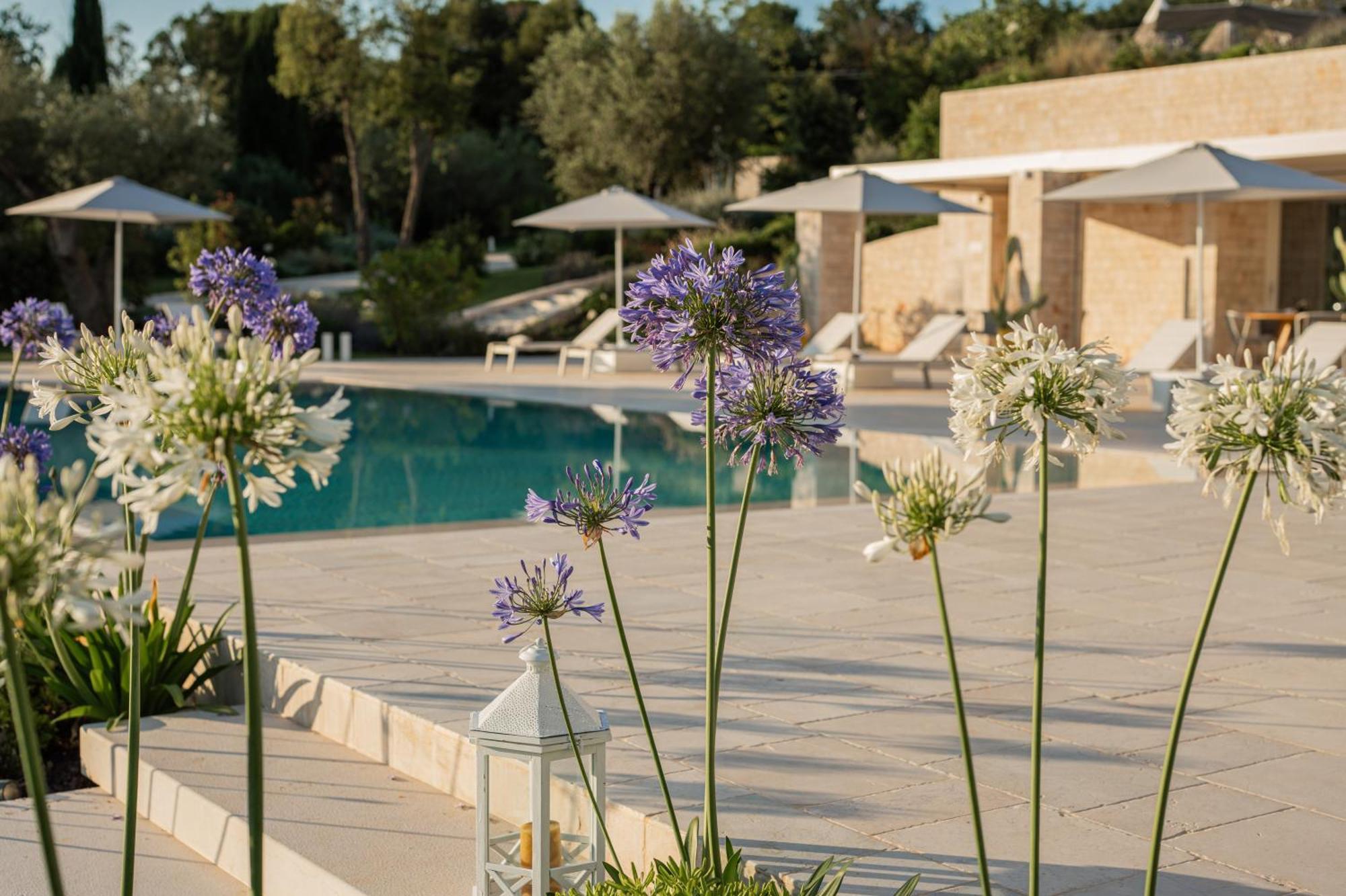 Essenza Relais Contemporaneo Bed and Breakfast Cisternino Εξωτερικό φωτογραφία